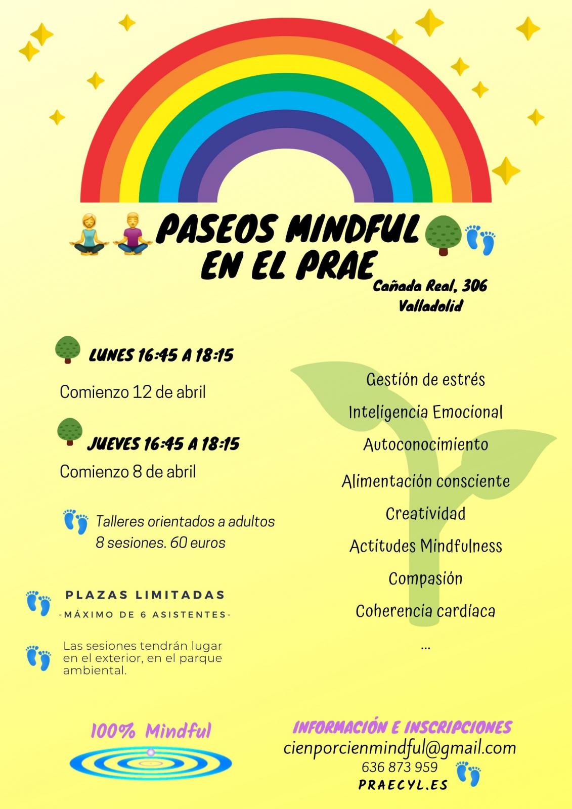 Talleres Mindfulness y Naturaleza en el PRAE